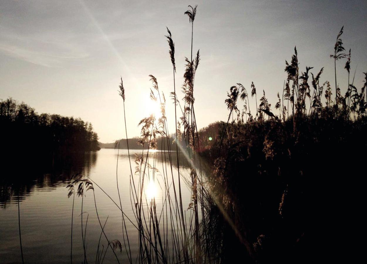 Relais & Chateaux Gutshaus Stolpe Stolpe an der Peene Екстер'єр фото